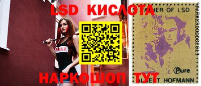ECSTASY Гатчина