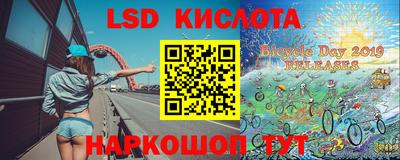 ECSTASY Гатчина