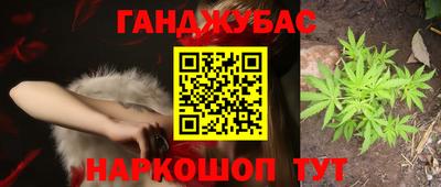 ECSTASY Гатчина