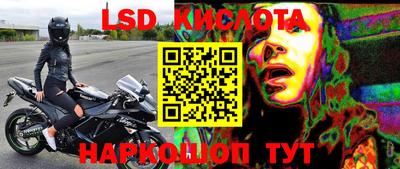 ECSTASY Гатчина