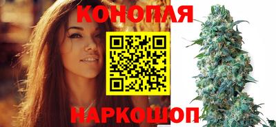 ECSTASY Гатчина